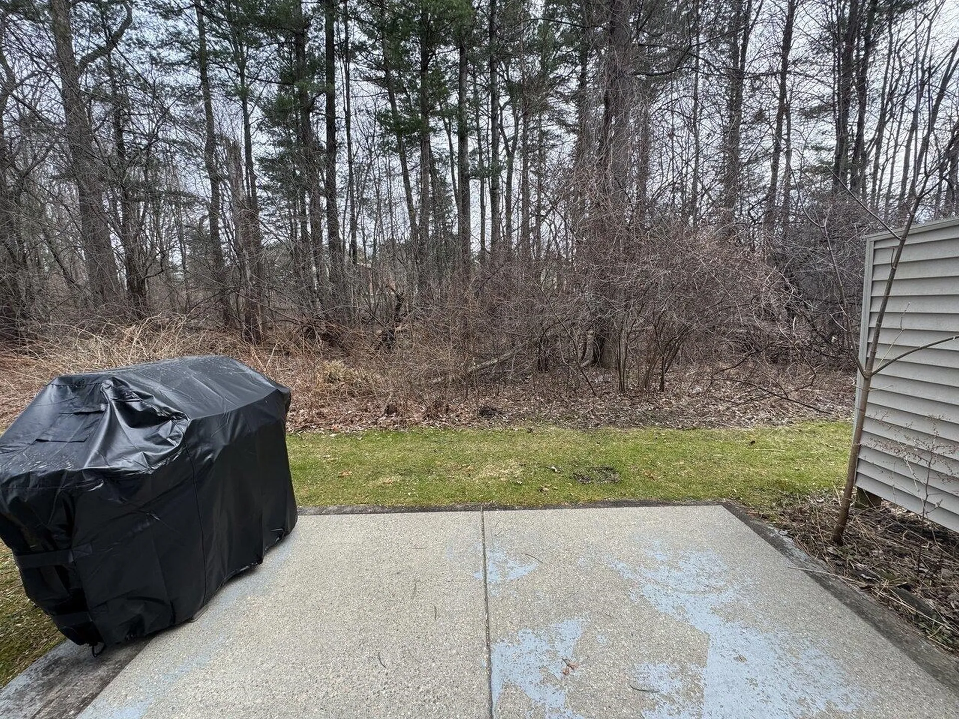 212 Locust Hill Shelburne VT 05482