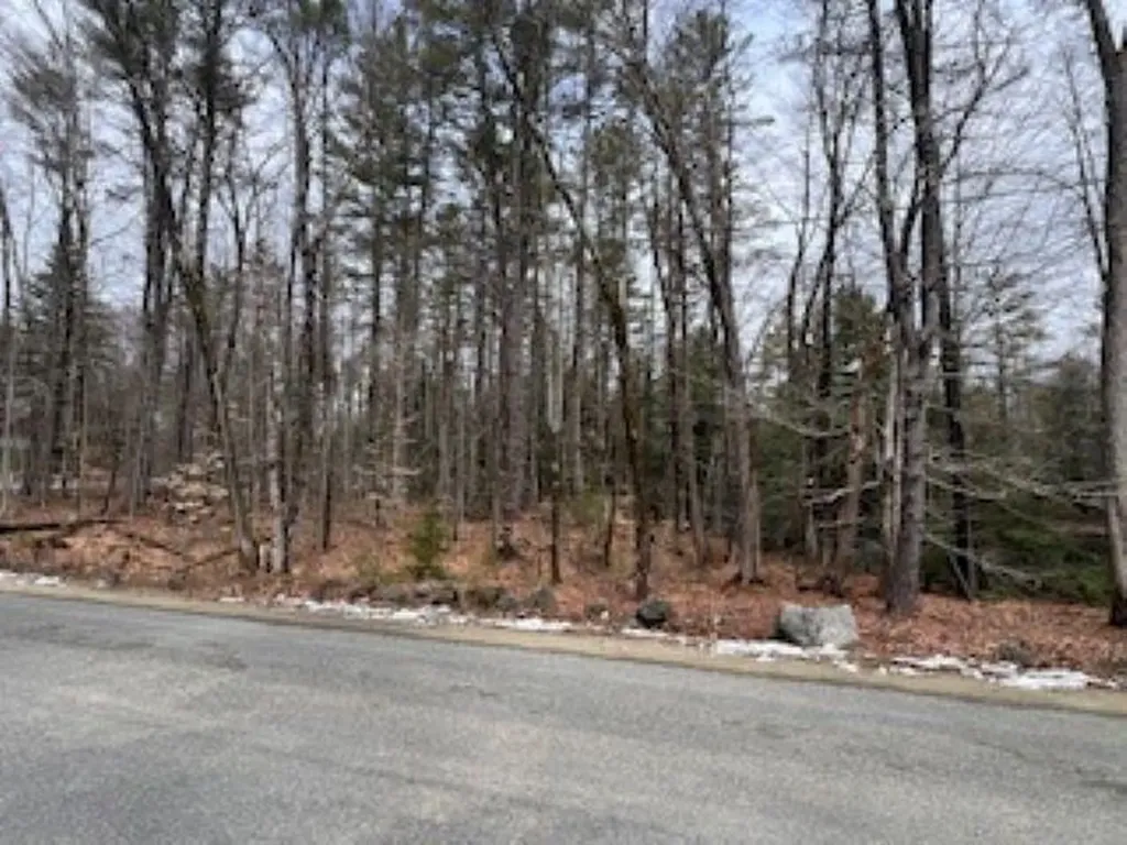 11-6 Clothespin Bridge Road Webster NH 03303