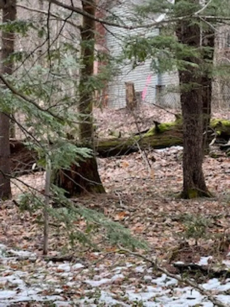 11-6 Clothespin Bridge Road Webster NH 03303