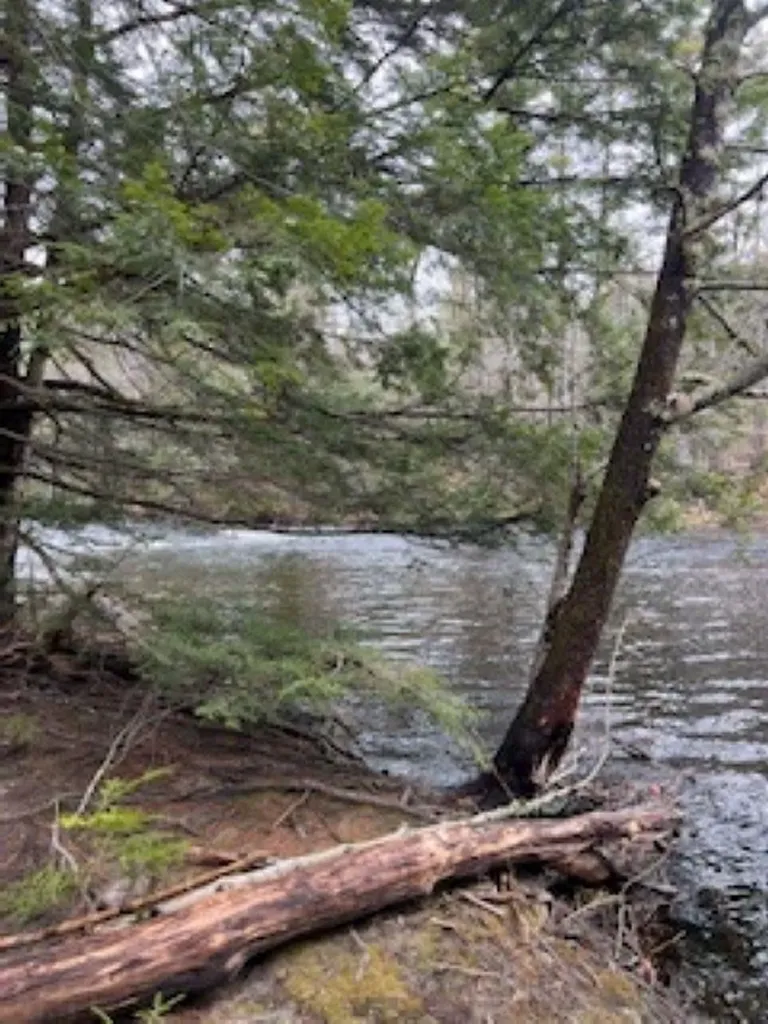 11-6 Clothespin Bridge Road Webster NH 03303