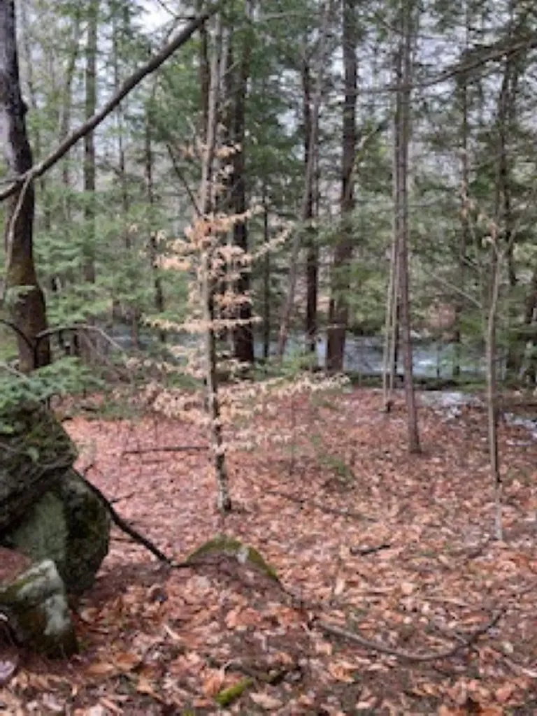 11-6 Clothespin Bridge Road Webster NH 03303