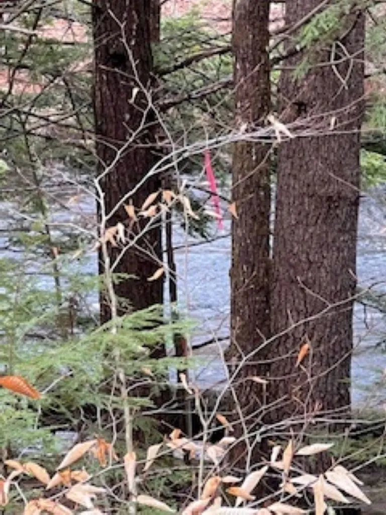 11-6 Clothespin Bridge Road Webster NH 03303