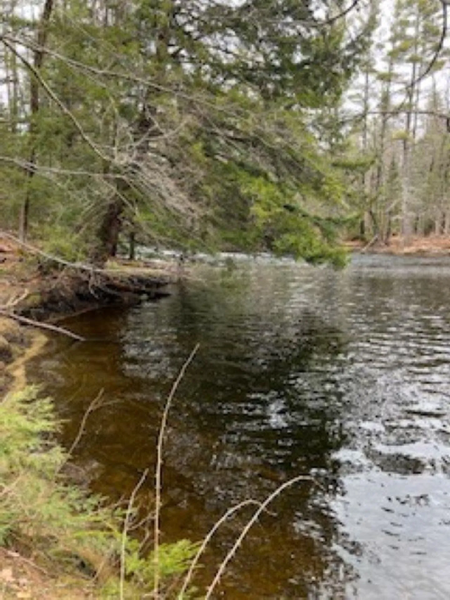 11-6 Clothespin Bridge Road Webster NH 03303