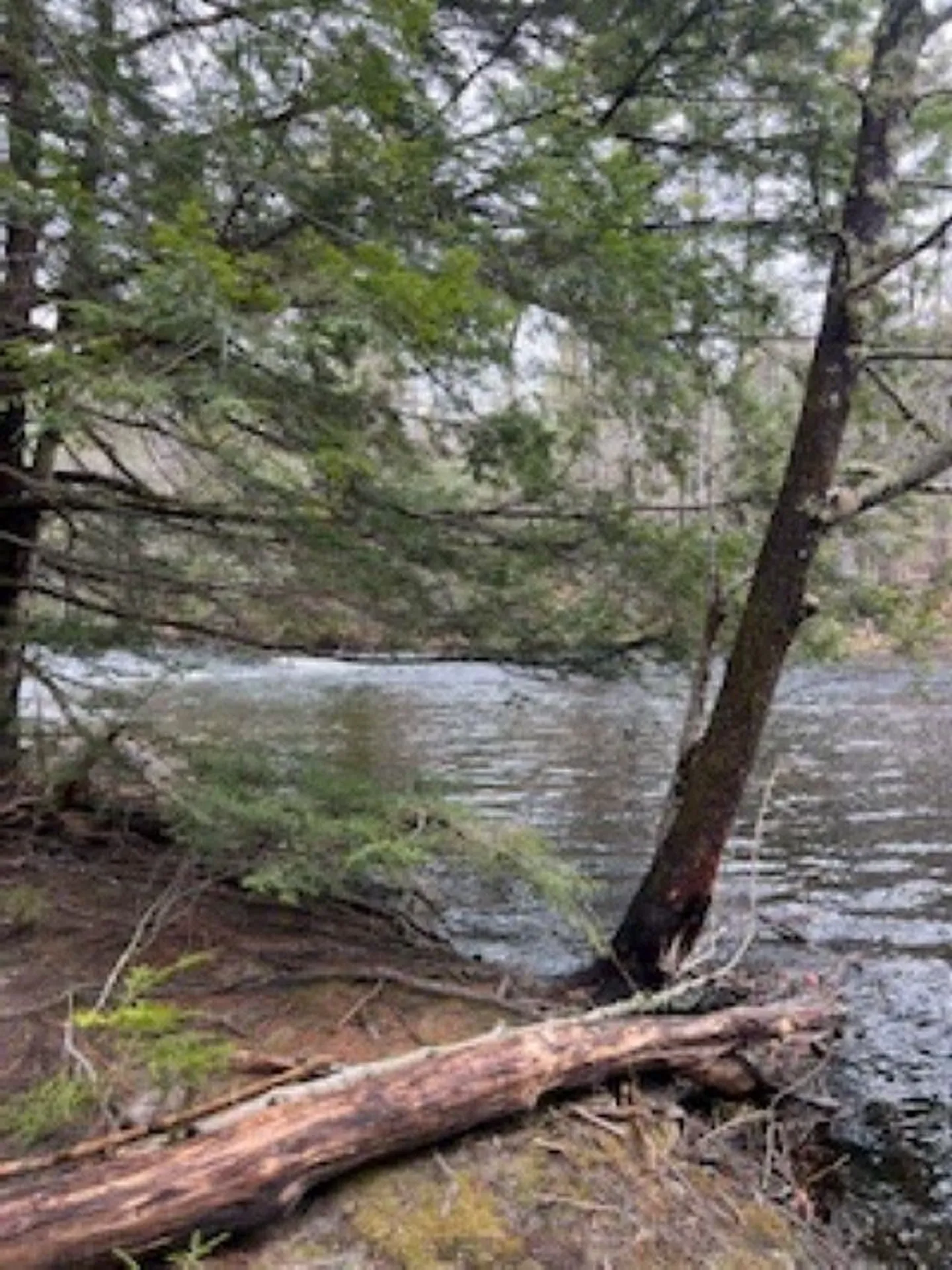 11-6 Clothespin Bridge Road Webster NH 03303