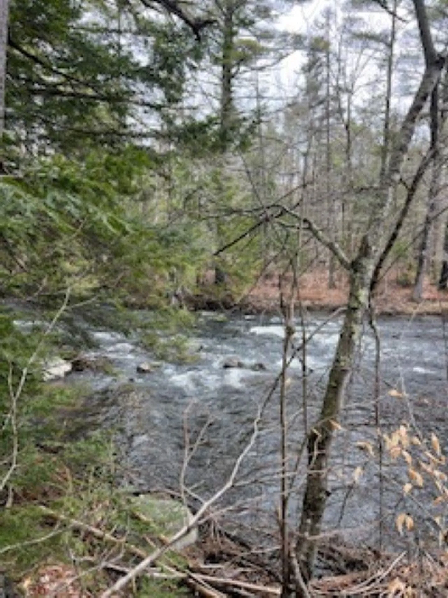 11-6 Clothespin Bridge Road Webster NH 03303