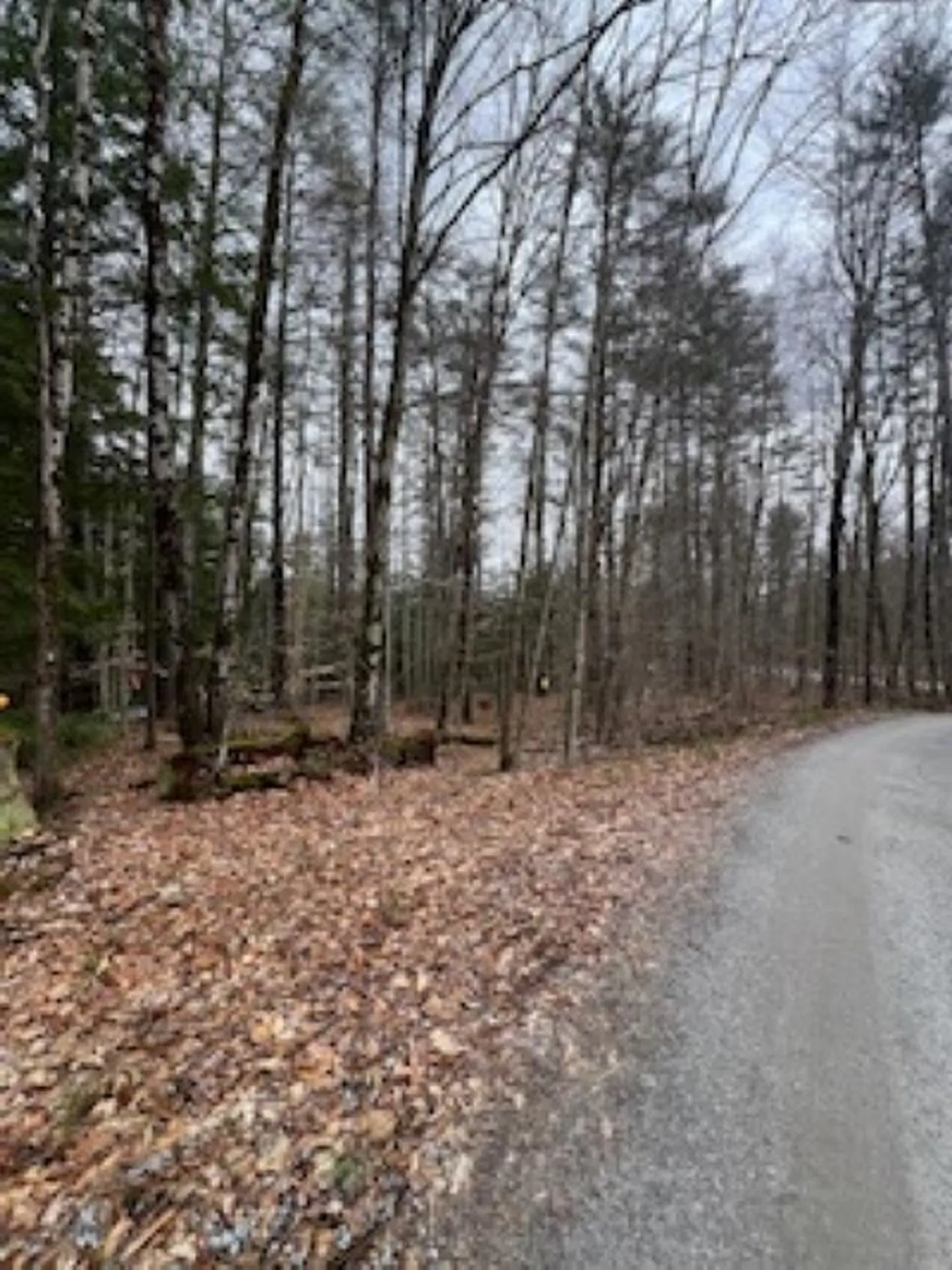 11-6 Clothespin Bridge Road Webster NH 03303