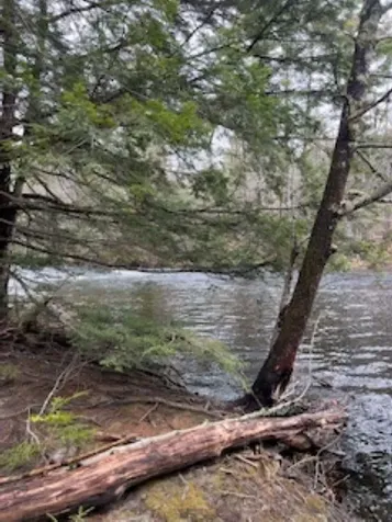 11-6 Clothespin Bridge Road Webster NH 03303