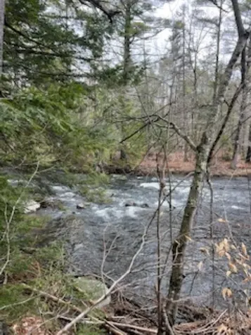 11-6 Clothespin Bridge Road Webster NH 03303