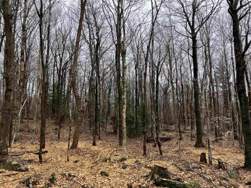 408 Fox Mt. Road Wilmington VT 05363