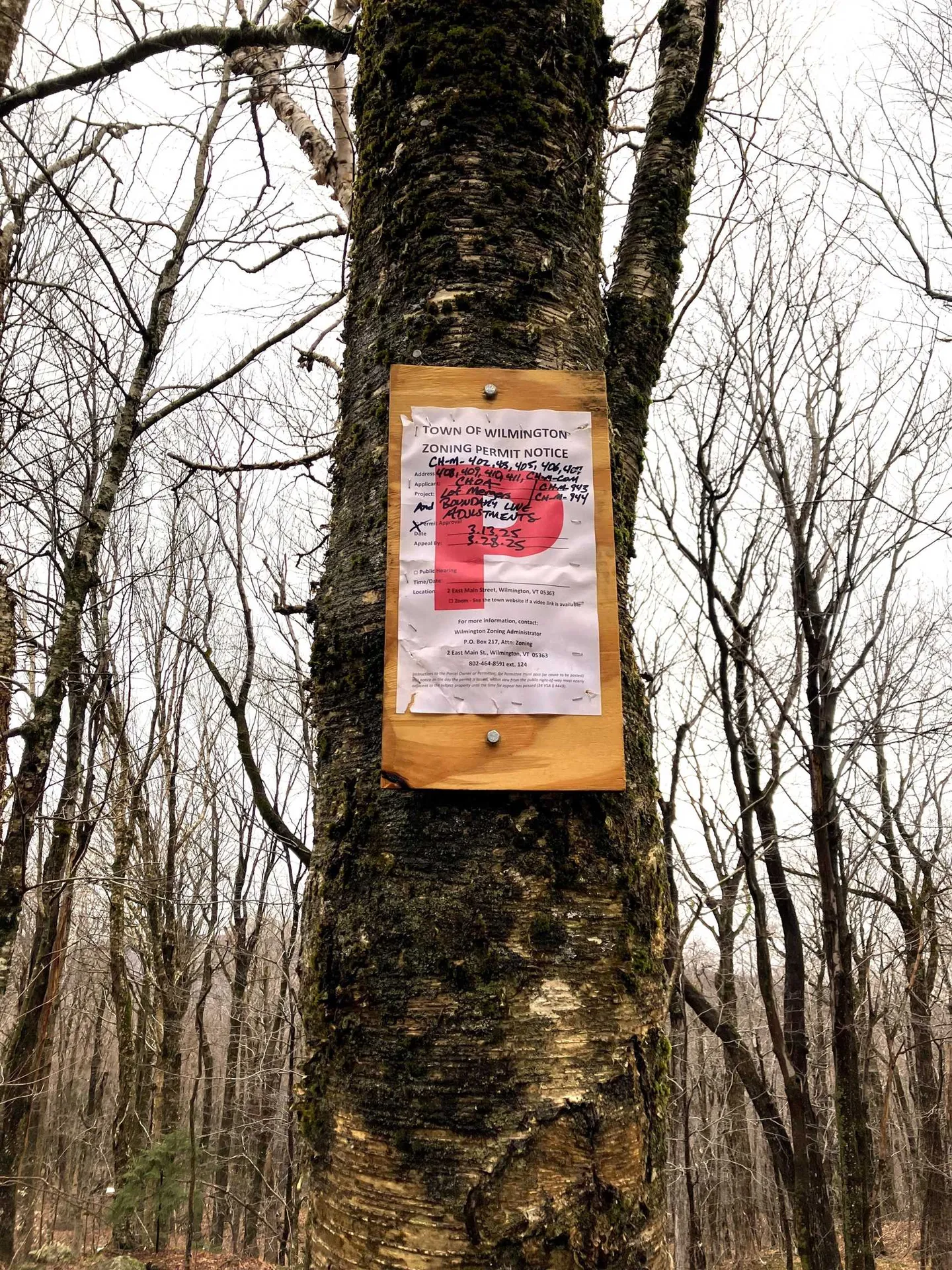 408 Fox Mount Road Wilmington VT 05363