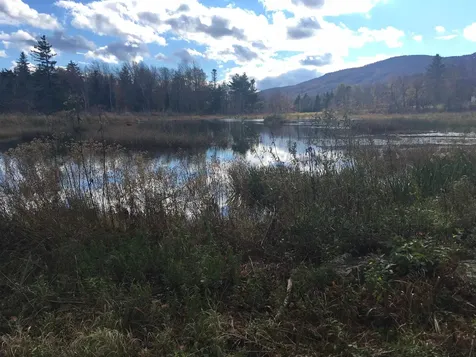 408 Fox Mount Road Wilmington VT 05363
