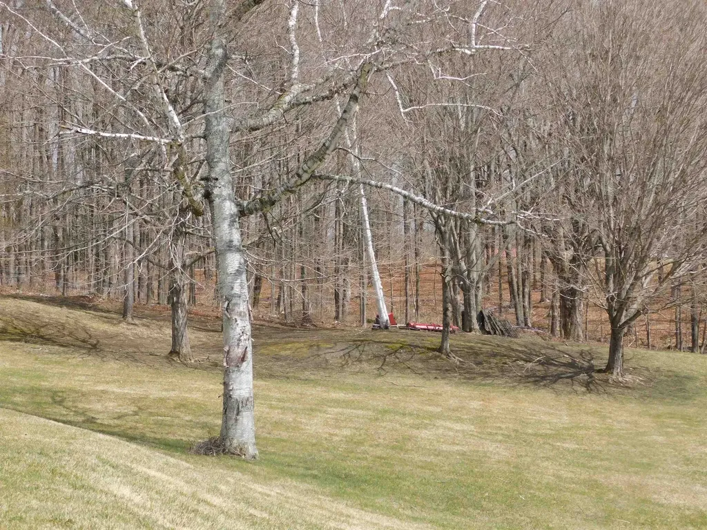 150 Barlow Road Springfield VT 05156