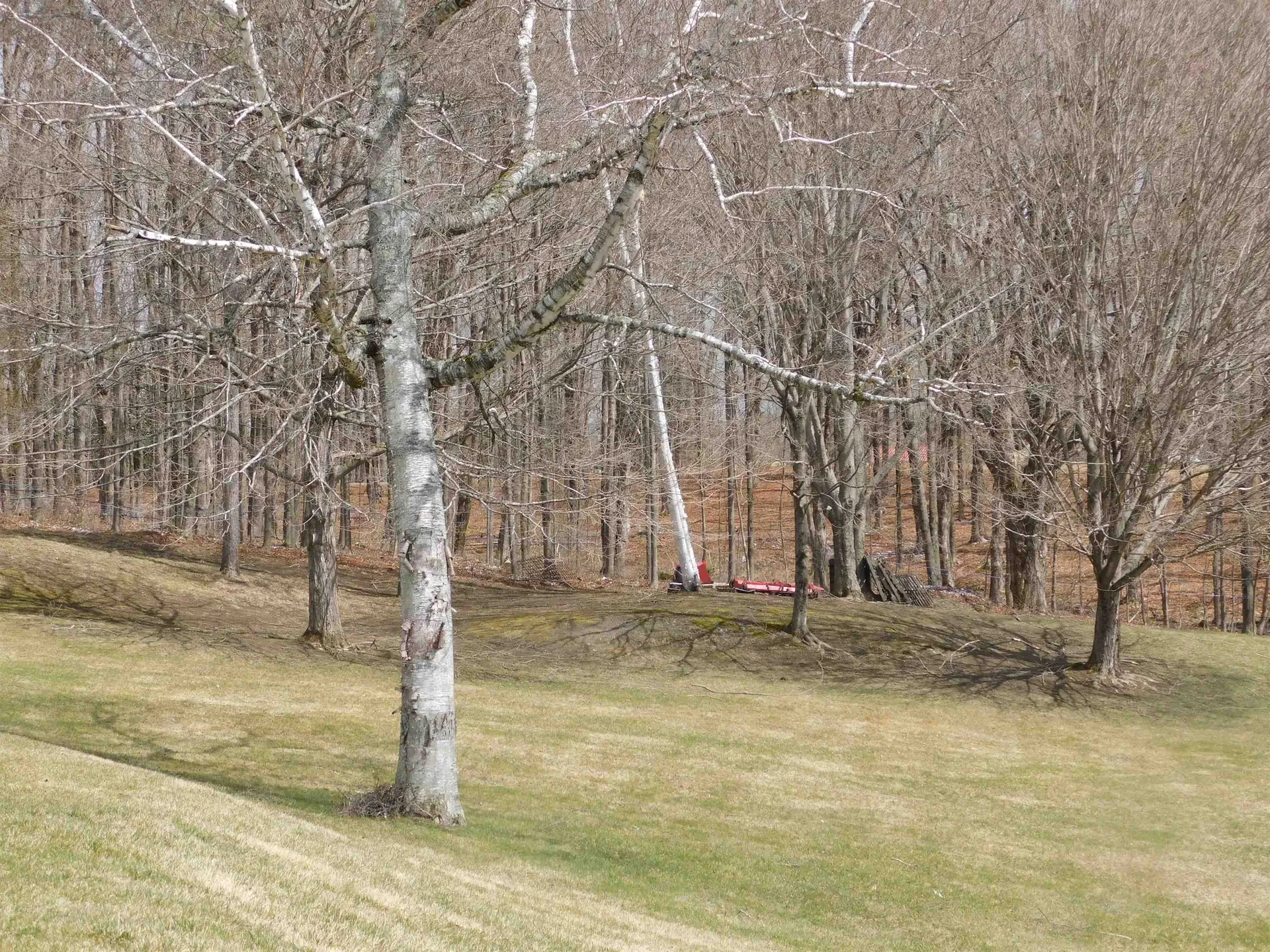 150 Barlow Road Springfield VT 05156