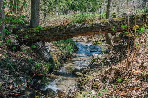 20 Gully Road Woodstock VT 05091