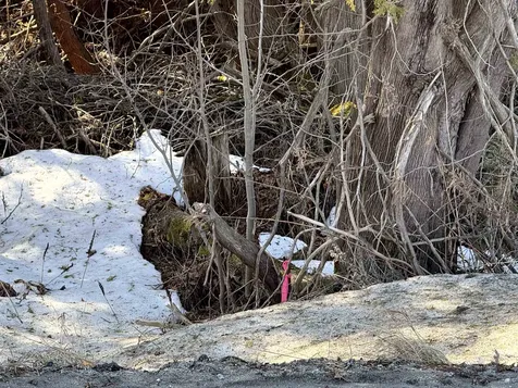 - Bates Hill Road Holland VT 05830