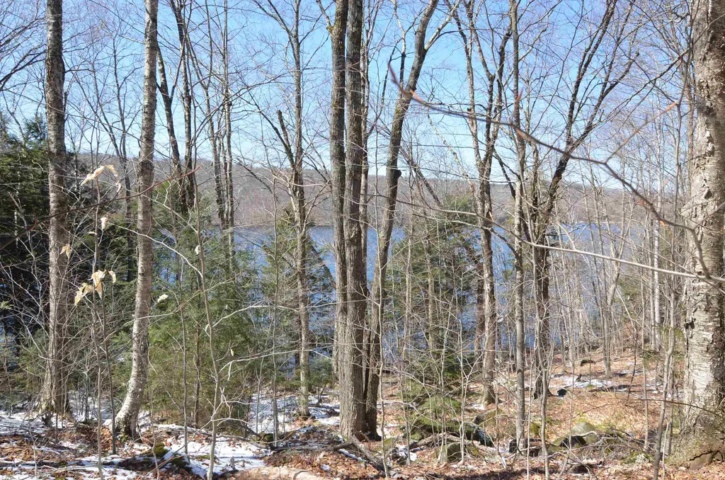 3 Trillium Lane Grantham NH 03753