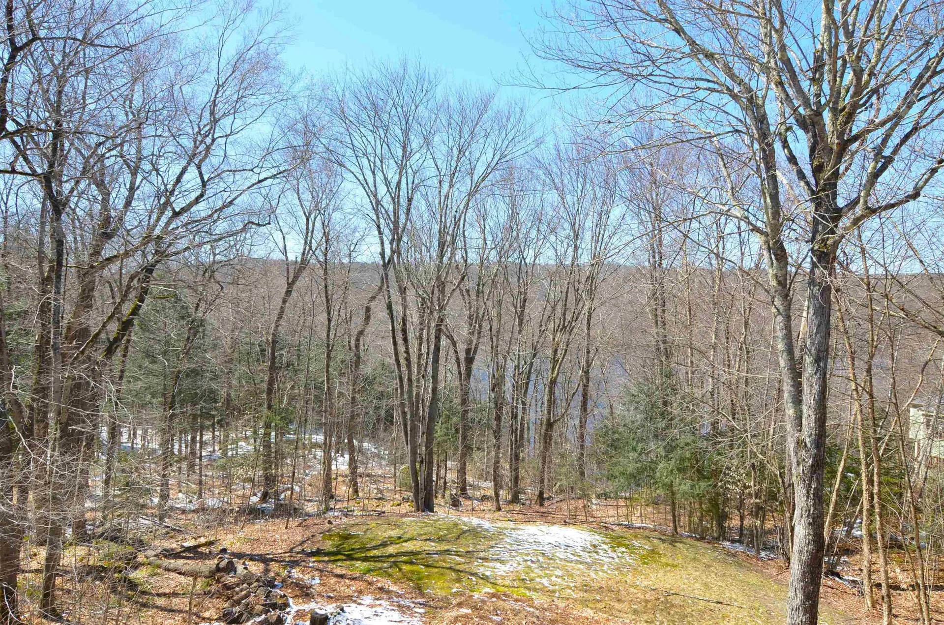 3 Trillium Lane Grantham NH 03753