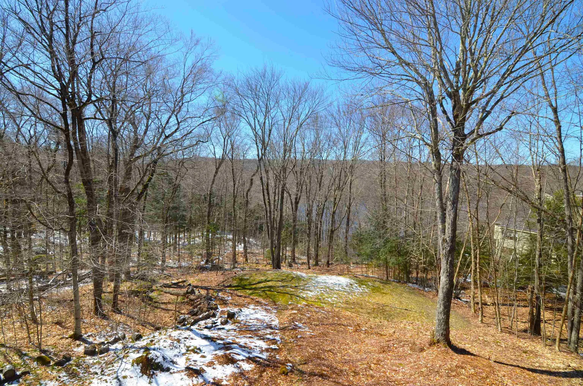 3 Trillium Lane Grantham NH 03753