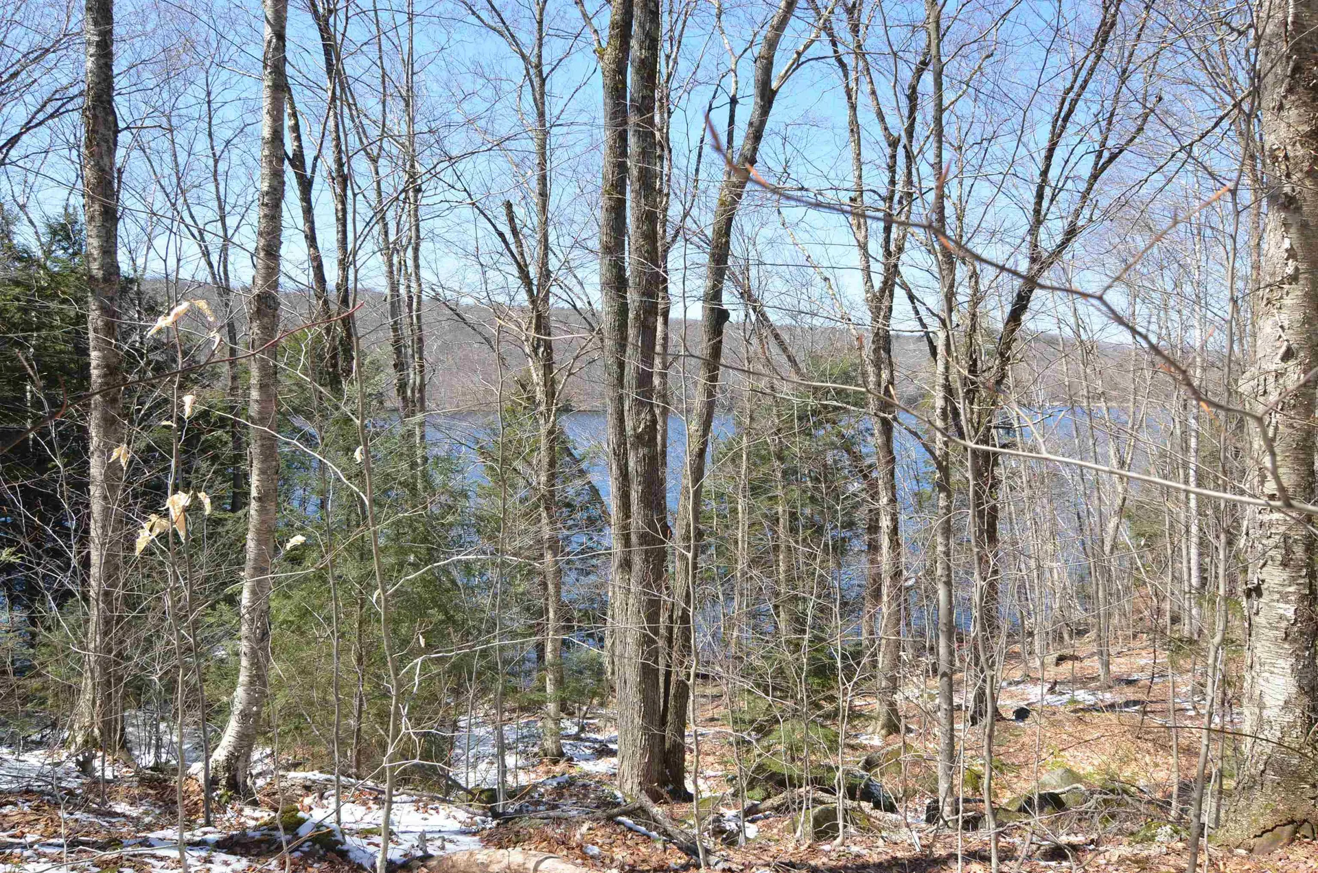 3 Trillium Lane Grantham NH 03753