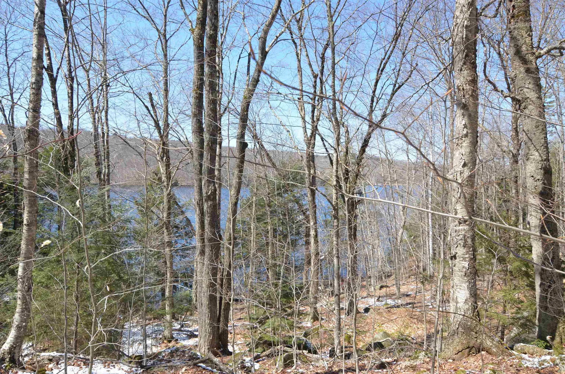 3 Trillium Lane Grantham NH 03753