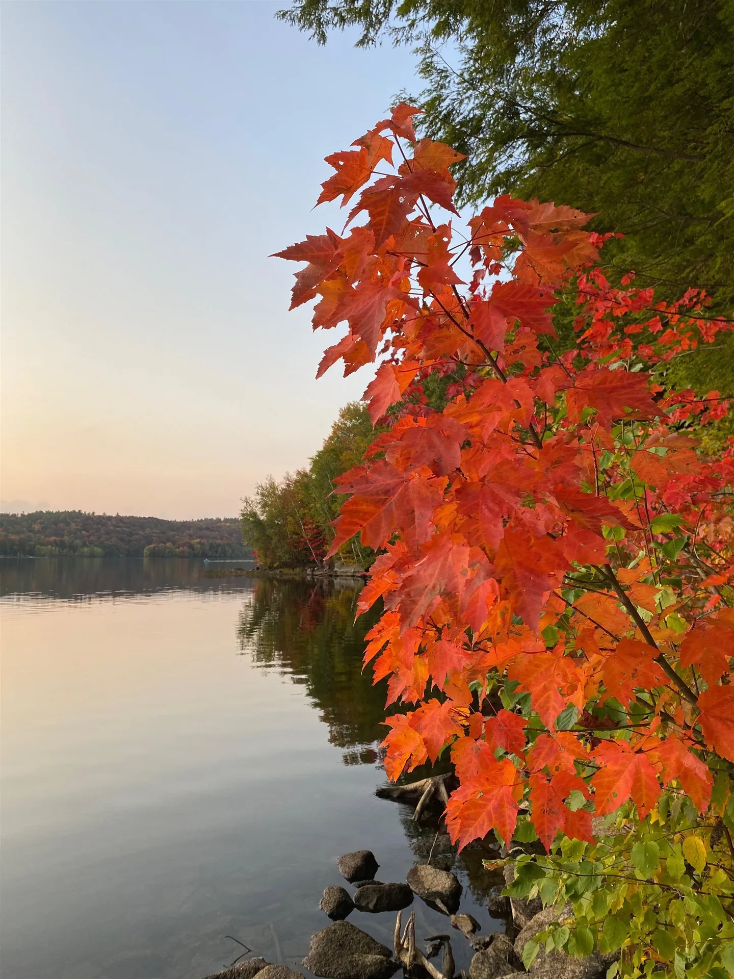 3 Trillium Lane Grantham NH 03753