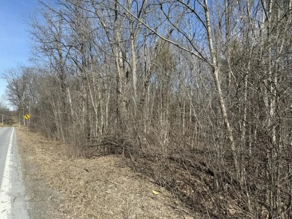 0 Route 73e Orwell VT 05760