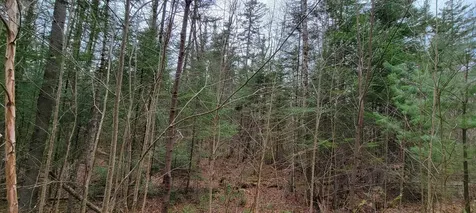 Lot 12 Mirror Lake Estates Drive Whitefield NH 03598