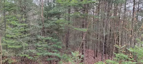 Lot 12 Mirror Lake Estates Drive Whitefield NH 03598