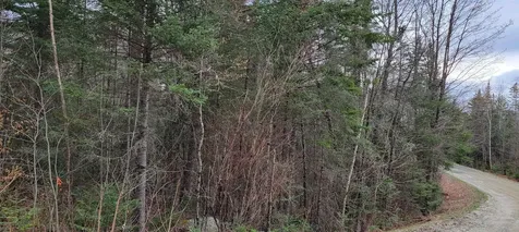Lot 12 Mirror Lake Estates Drive Whitefield NH 03598