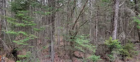 Lot 12 Mirror Lake Estates Drive Whitefield NH 03598