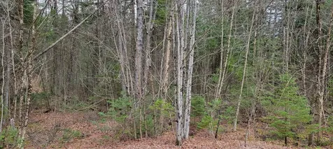 Lot 12 Mirror Lake Estates Drive Whitefield NH 03598