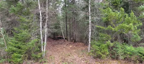 Lot 12 Mirror Lake Estates Drive Whitefield NH 03598
