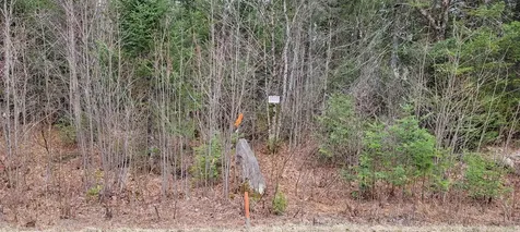 Lot 12 Mirror Lake Estates Drive Whitefield NH 03598