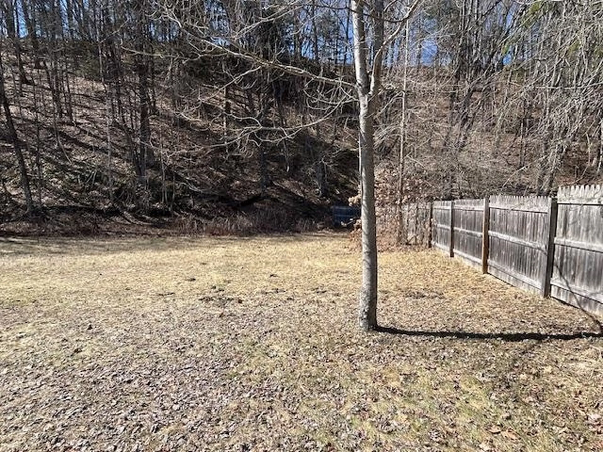 00 Forest Street Randolph VT 05060