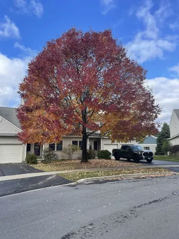 102 Chelsea Place Williston VT 05495