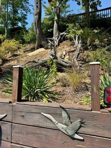 37 Town Beach Road Winchester NH 03470