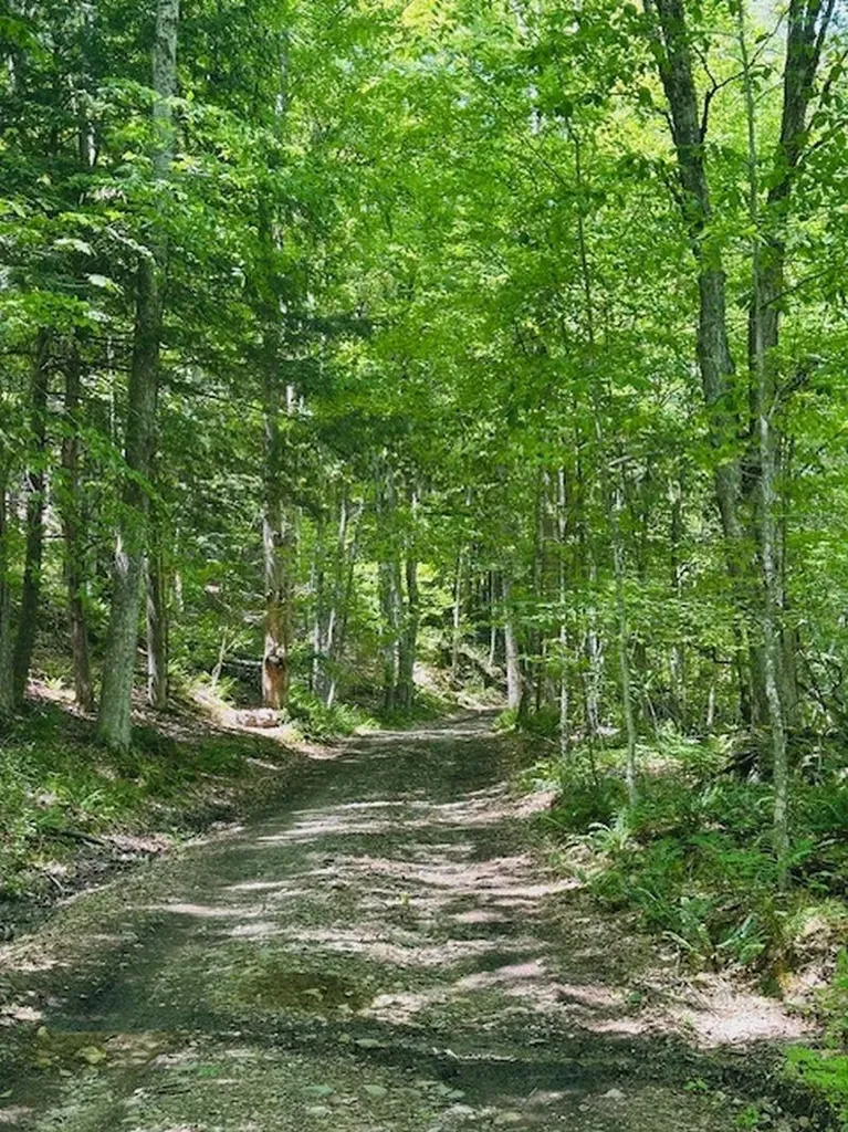 100 Stagecoach Road Rockingham VT 05101