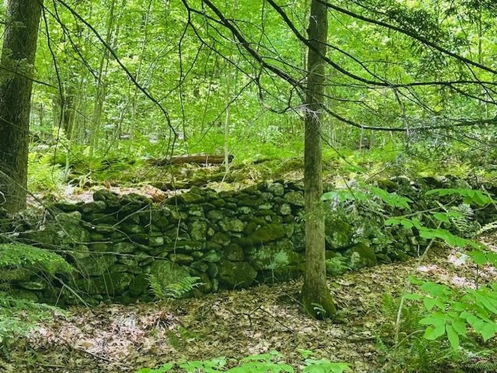 100 Stagecoach Road Rockingham VT 05101