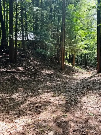 100 Stagecoach Road Rockingham VT 05101