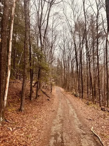 100 Stagecoach Road Rockingham VT 05101