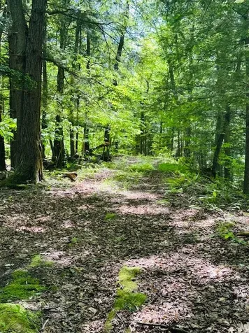 100 Stagecoach Road Rockingham VT 05101