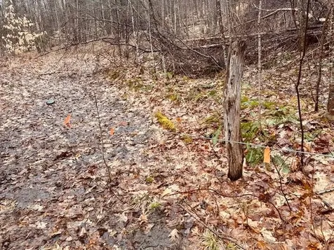 100 Stagecoach Road Rockingham VT 05101