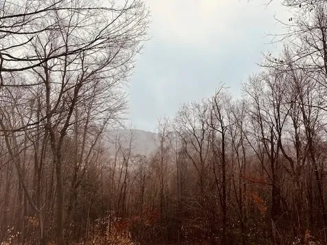 100 Stagecoach Road Rockingham VT 05101