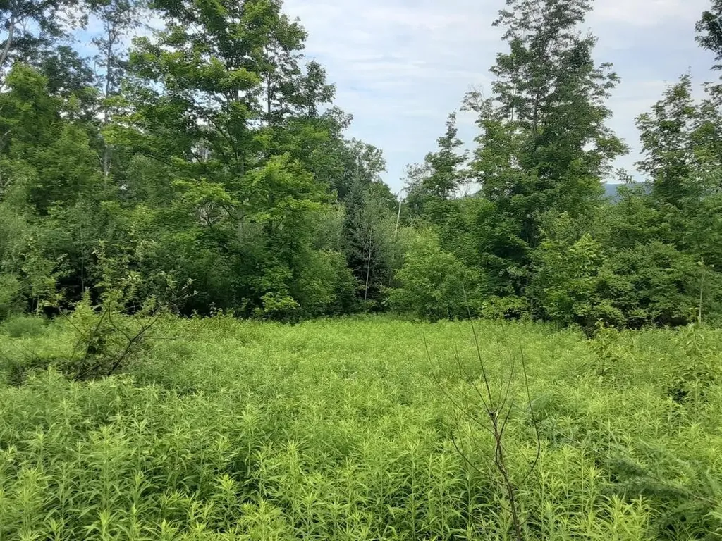 324 Crane Hill Road Sugar Hill NH 03486