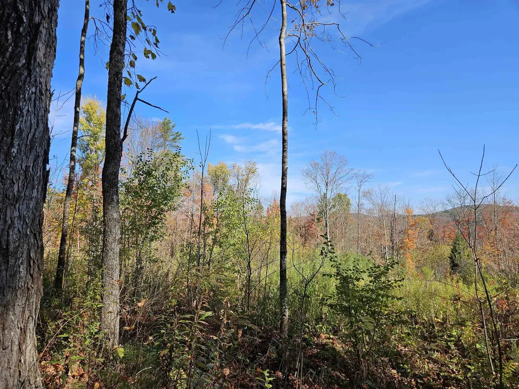 324 Crane Hill Road Sugar Hill NH 03486