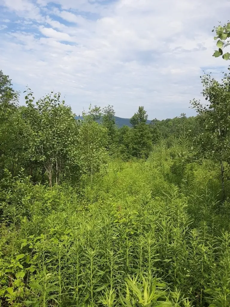 324 Crane Hill Road Sugar Hill NH 03486