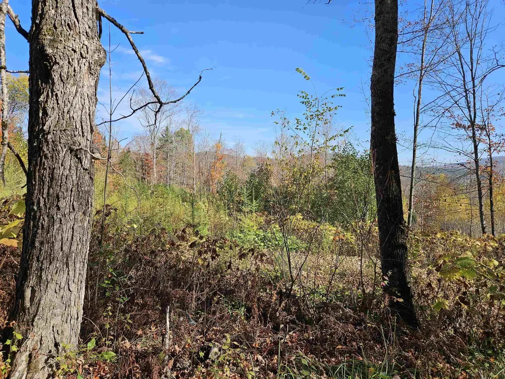 324 Crane Hill Road Sugar Hill NH 03486