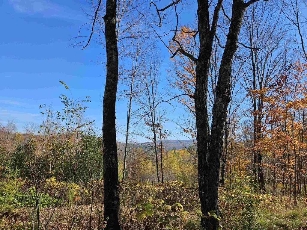 324 Crane Hill Road Sugar Hill NH 03486