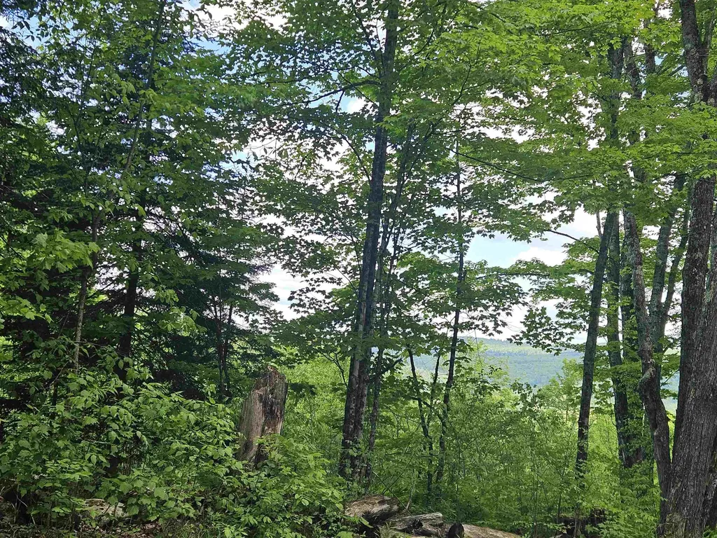 324 Crane Hill Road Sugar Hill NH 03486