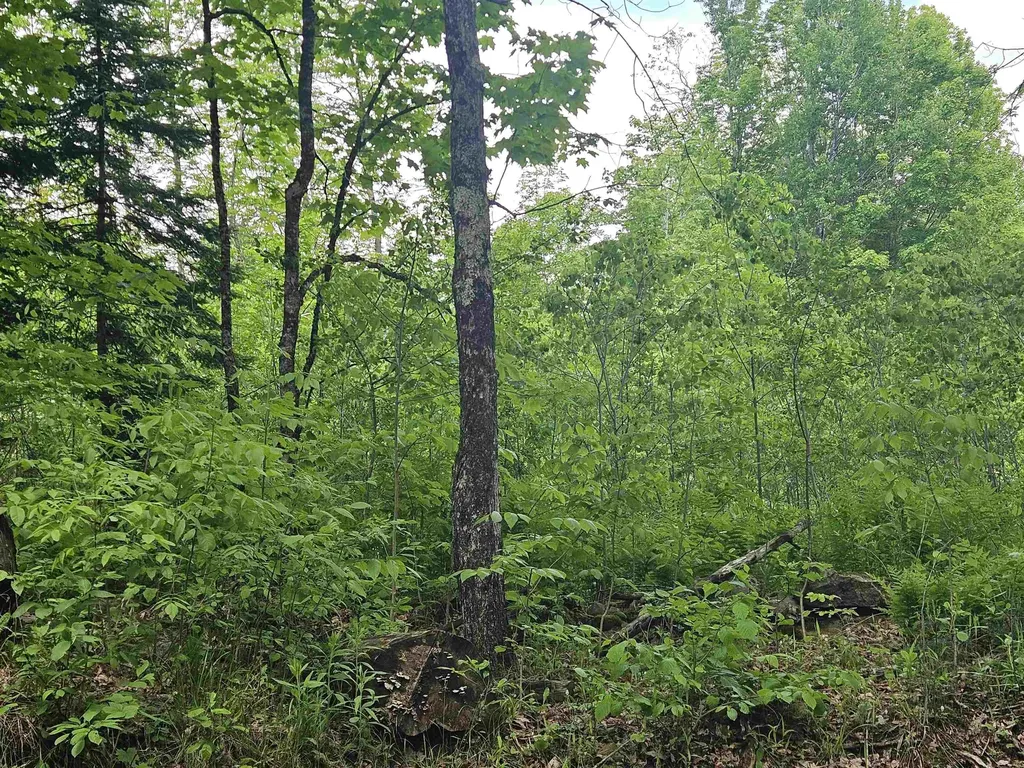 324 Crane Hill Road Sugar Hill NH 03486